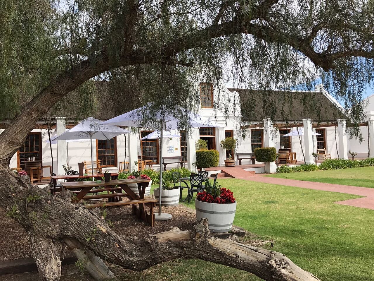 Elegant catering setup with beautifully presented dishes, perfect for special events at Café Maude